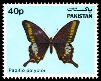 Wildlife Series Butterflies