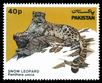 Wildlife Snow Leopard