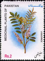 Medicinal Plants of Pakistan - Liquorice (Mulathi)