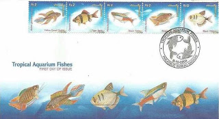 Aquarium Varieties of Tropical Fishes