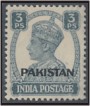 Pakistan First Over Print Set