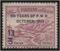 Century of PWD