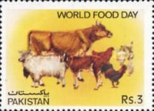 World Food Day