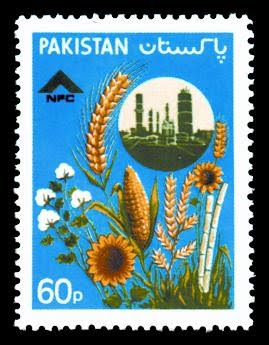 National Fertilizer Corporation