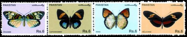wildlife series - Butterflies