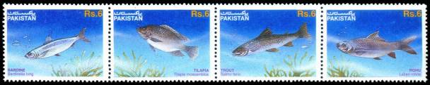 Wildlife Series - Fishes