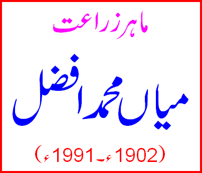 Mian Muhammad Afzal